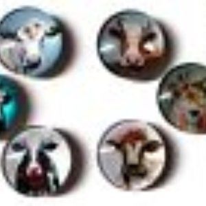 COW ART Glass Magnet Set - 10pc Handmade Decorative Memo Board Refrigerator
